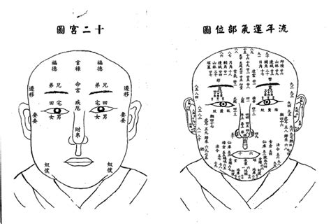 定眼面相|倪海厦老师《天纪》面相